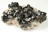 Lustrous Cassiterite Crystals On Quartz - Viloco Mine, Bolivia #192179-1